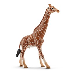 Girafe Male Wild Life H17...