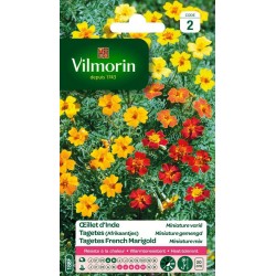 VILMORIN OEILLET D'INDE...