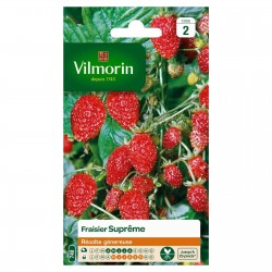 VILMORIN FRAISIER Suprême...