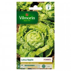 VILMORIN LAITUE POMMÉE...
