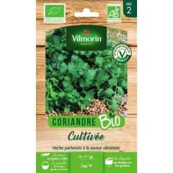 VILMORIN CORIANDRE BIO...
