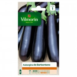 VILMORIN AUBERGINE De...
