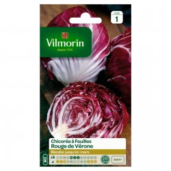 VILMORIN CHICORÉE À...