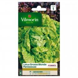 VILMORIN LAITUE POMMÉE...