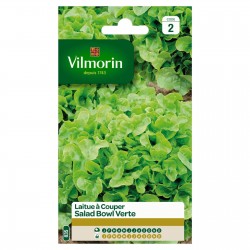 VILMORIN LAITUE À Couper...