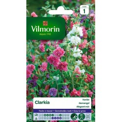 VILMORIN CLARKIA Variée...