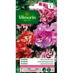 VILMORIN GODÉTIA Fleurs...