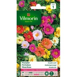 VILMORIN POURPIER Double...