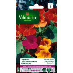 VILMORIN CAPUCINE De Lobb...