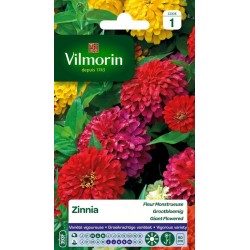 VILMORIN ZINNIA Fleur...