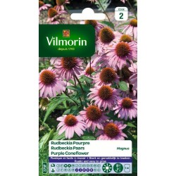 VILMORIN RUDBECKIA POURPRE...