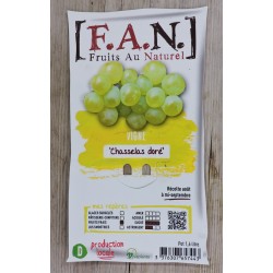 Vigne Chasselas Dore C1.6L