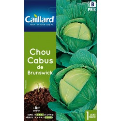 Graines Chou Cabus De...