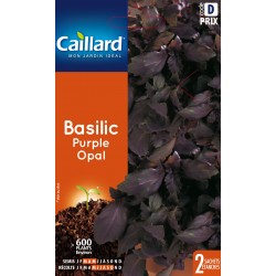Graines Basilic Purple Opal...