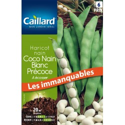 Graines Haricot Nain À...