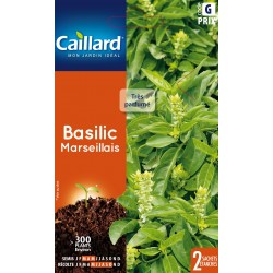 Graines Basilic Marseillais...
