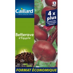 Graines Betterave D'Egypte...