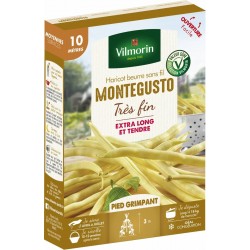 VILMORIN HARICOT Beurre...