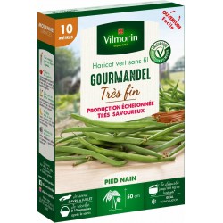 VILMORIN HARICOT Vert Très...