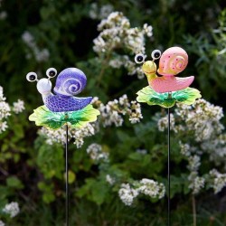 Pique Loony Escargot...