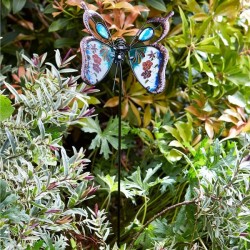 Pique Papillon Brillant...