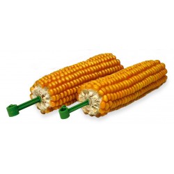 Friandise rongeur épis de...