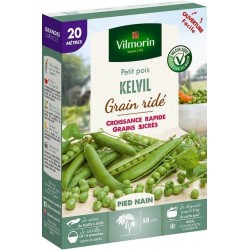VILMORIN PETIT POIS Grain...