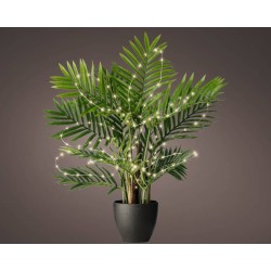 Microled Pour Plante...