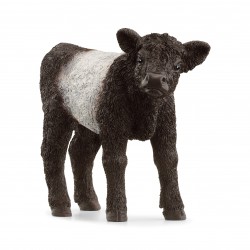 Veau Galloway Farm World...