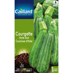 Graines Courgette Verte Non...
