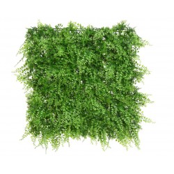 Carré De Fougère Vert En...