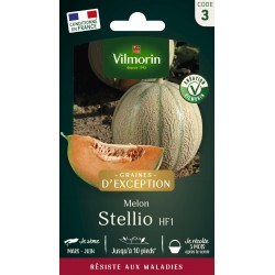 VILMORIN GRAINES...