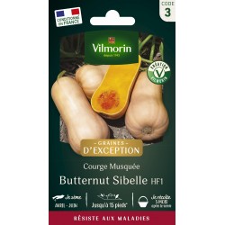 VILMORIN GRAINES...