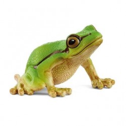 Rainette Verte Wild Life...