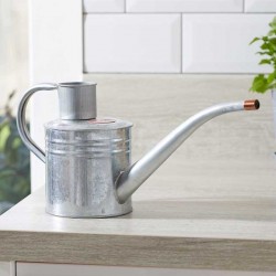 Arrosoir pour maison et...