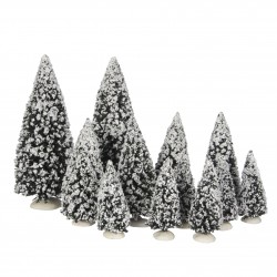 Sapin Evergreen X123...