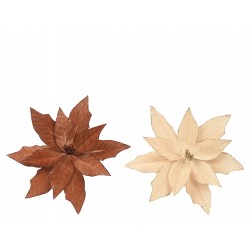 Poinsettia Sur Clip Brun Ø35