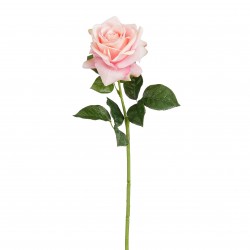 Tige De Rose Rose H65-MICA...