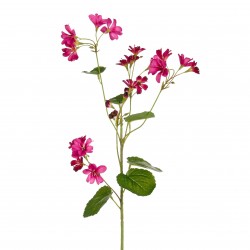 Tige De Geranium Fuchsia...