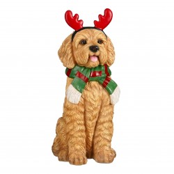 Chien Labradoodle Marron...