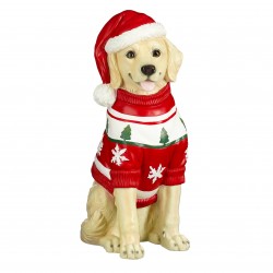 Chien Labrador Rouge...