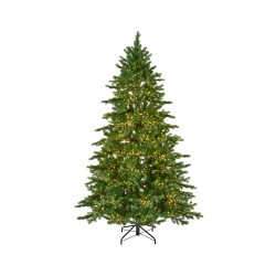 Sapin galloway 4000LED...
