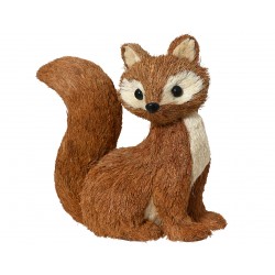 Renard Naturel En Herbe H27...