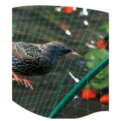 BIRDNET Filet de protection...
