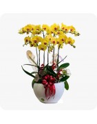 Fleurs artificielles