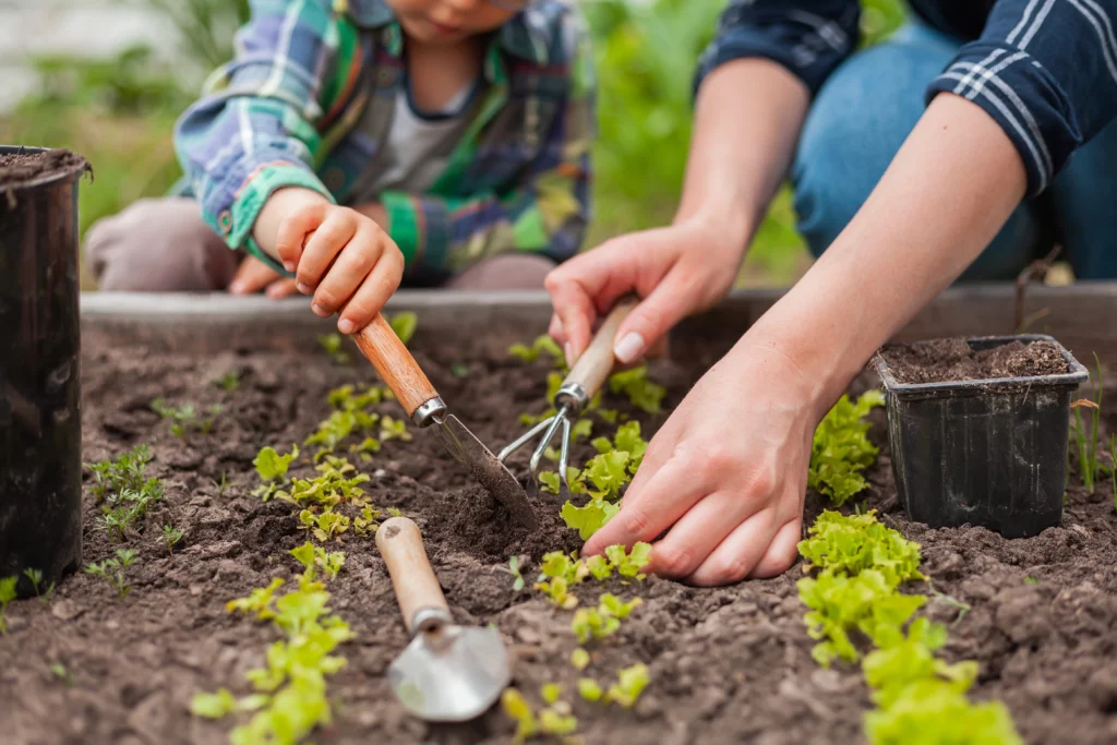 Que planter en mars au potager ?