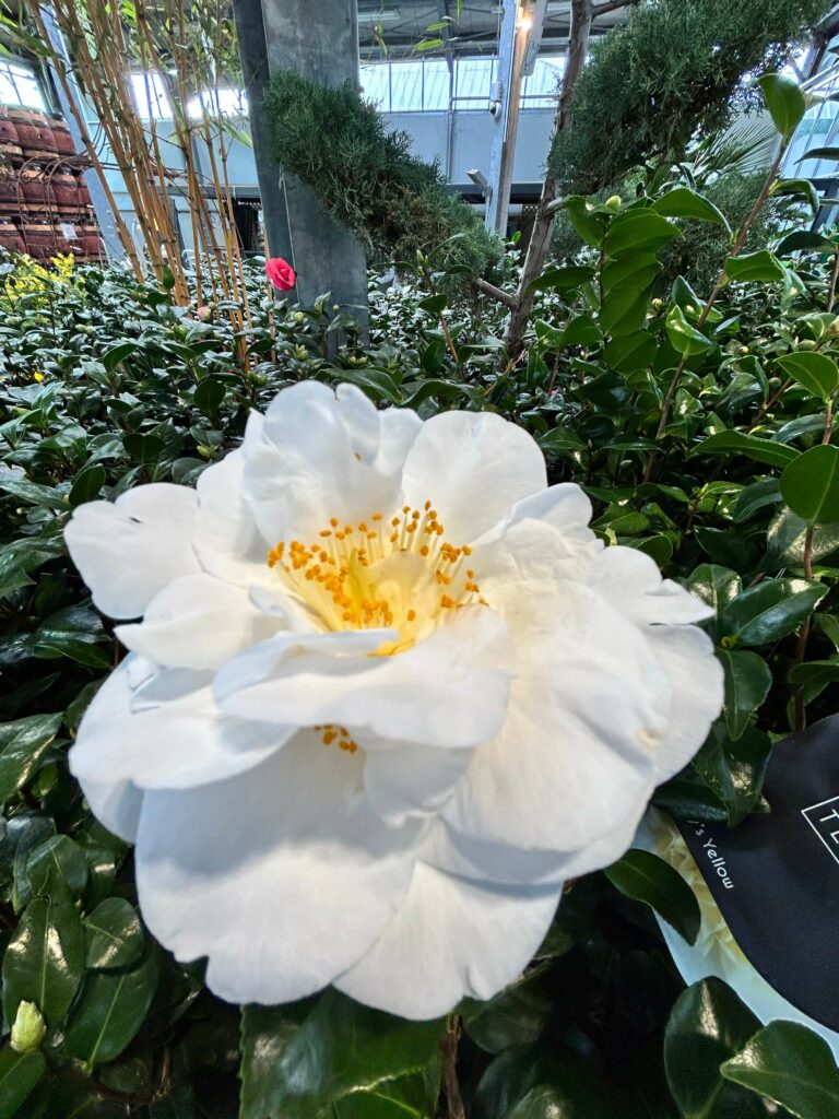 Jardinez à prix malins !