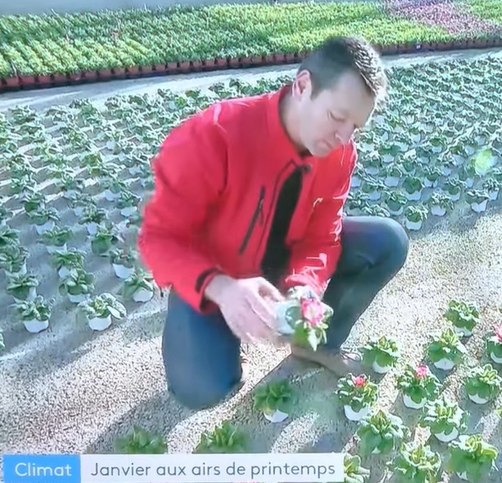 Le printemps est en avance !