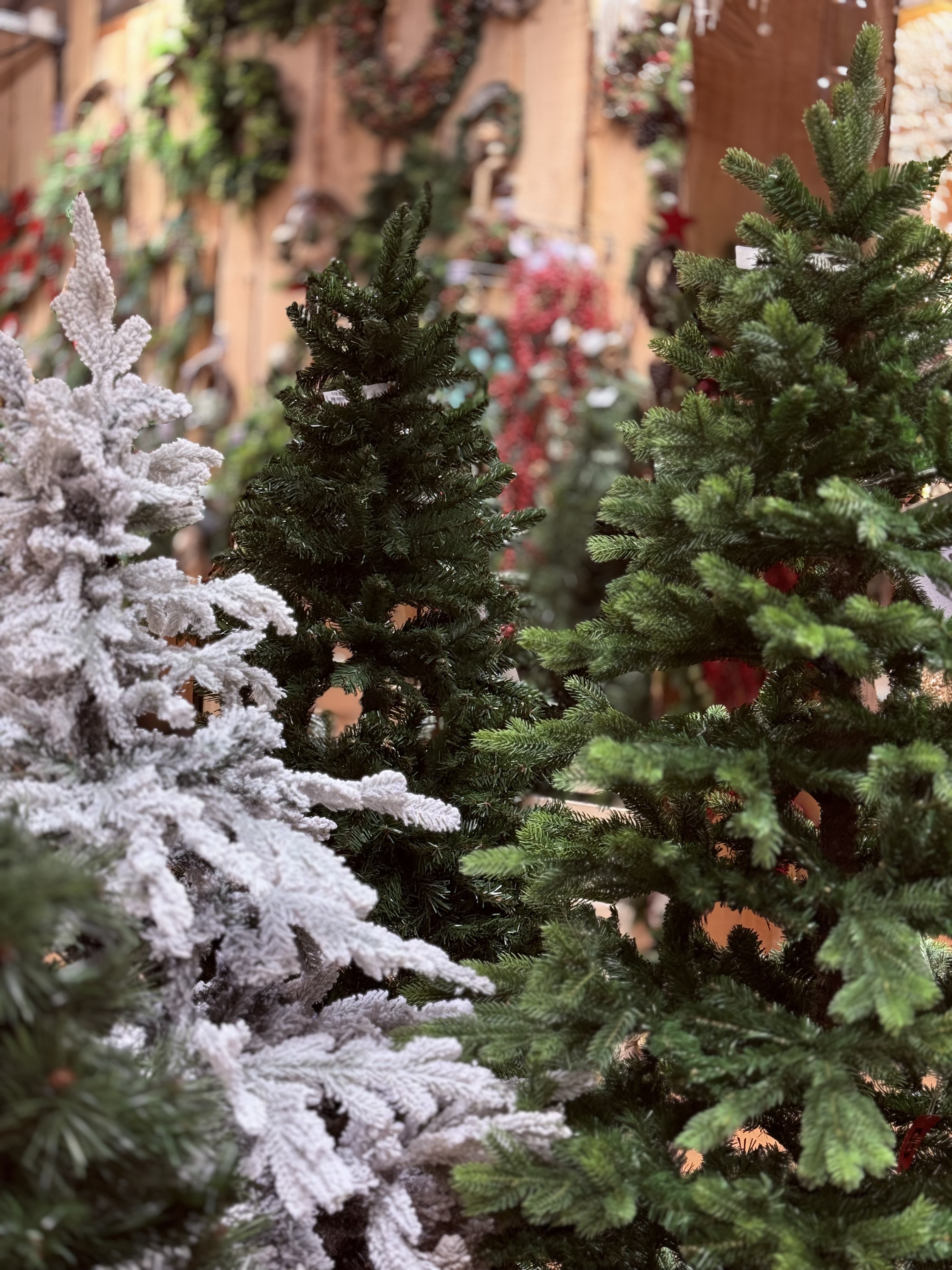 Marché de Noël Chambéry