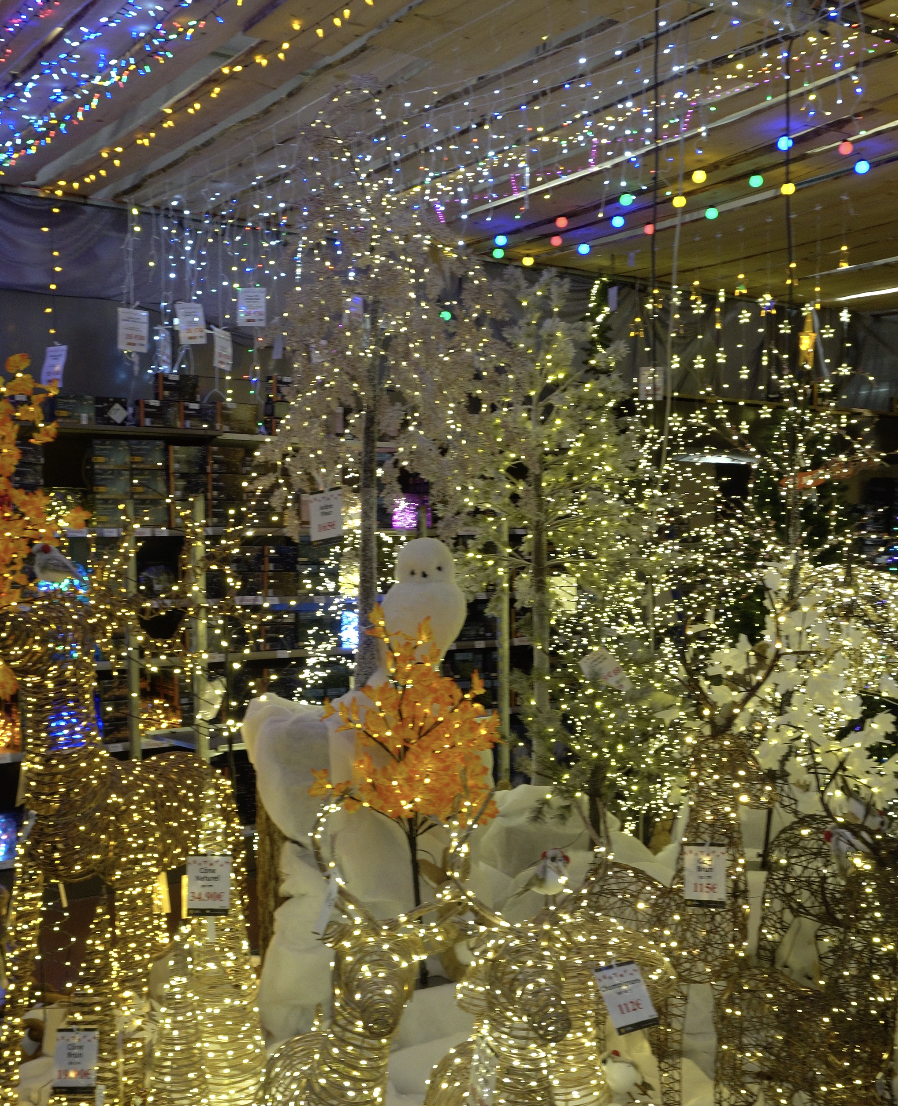 Marché de Noël Chambéry